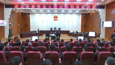 视频丨蕲春：旁听涉嫌受贿罪案庭审  现场接受警示教育