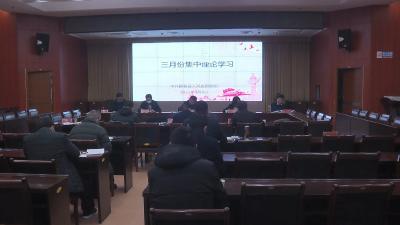 视频丨县政府党组理论学习中心组集中学习习近平系列重要讲话精神