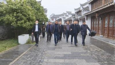 视频丨黄州区考察我县美丽乡村建设