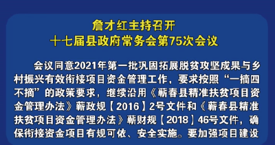 视频丨詹才红主持召开十七届县政府常务会第75次会议