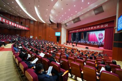直击两会｜未来五年蕲春怎么干？来看《纲要（草案）》解读