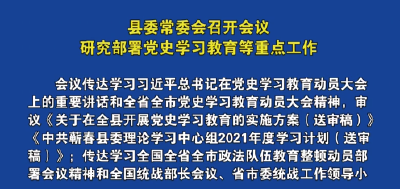 视频丨县委常委会召开会议   研究部署党史学习教育等重点工作