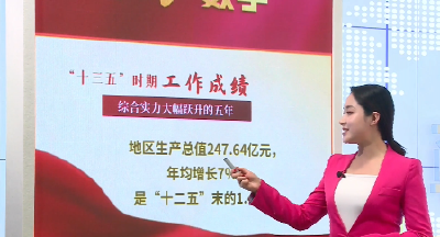 视频丨两会数字：综合指标五年倍增