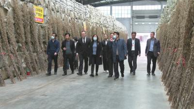 视频丨赵少莲：打造行业领军品牌   推动蕲艾产业高质量发展
