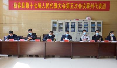 视频丨詹才红参加蕲州代表团讨论  强调凝聚智慧力量  展现蕲州特色担当