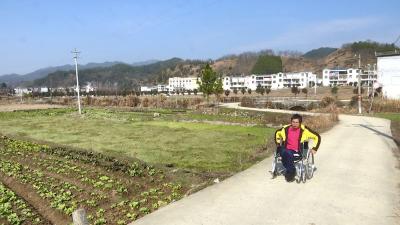视频丨张昌平： “带货直播”  俏山乡