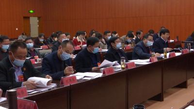 县人大代表审议县人大常委会和“两院”工作报告