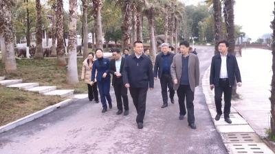 视频丨詹才红带队赴嘉鱼县考察洽谈投资项目