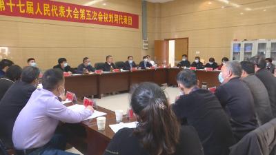 视频丨代表审议县人大常委会和“两院”工作报告
