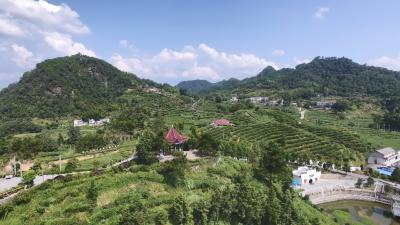 视频丨大同：大干推动大发展