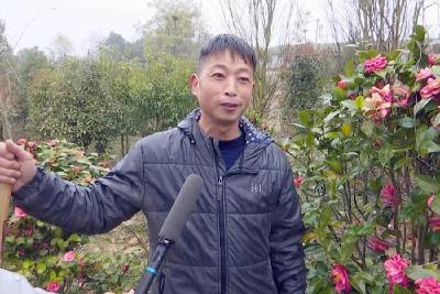 视频丨刘小勇：绿了荒山  回报乡亲