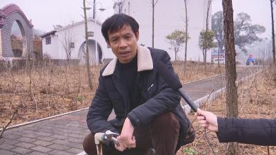 视频丨陈健生：解民难助民生