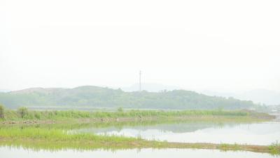 视频︱西马口湖蕲春境内 “清四乱” 问题整改基本完成