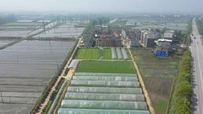 视频︱蕲春全力培育新型农机服务体系