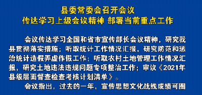 视频丨县委常委会召开会议   传达学习上级会议精神   部署当前重点工作