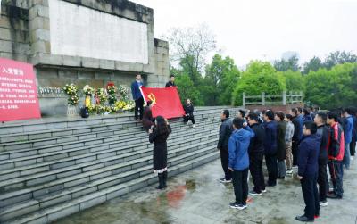 视频︱深入学习党史  汲取发展力量