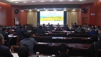 视频丨詹才红主持召开2021年第二次规划评审会