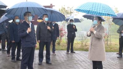 视频︱副省长张文兵来蕲调研中医药大健康产业发展