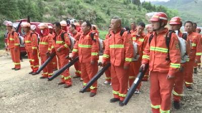 视频︱蕲春：压实森林防火责任   保护造林绿化成果