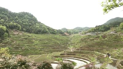 视频︱第六届雾云山农耕文化旅游节开幕