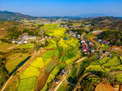 蕲春这个村入选“全国生态文化村”