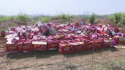 视频︱蕲春县集中销毁一批烟花爆竹制品