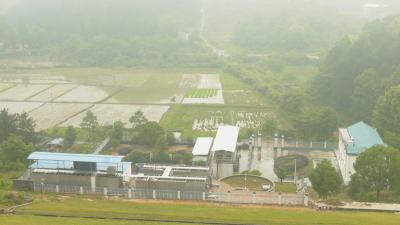 视频︱加强防汛备汛   保障河库安全