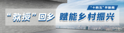 向发展聚焦  | 精准对接 教授回乡再结硕果