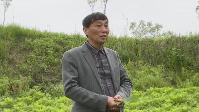视频︱张季星：推进乡村振兴   为百姓奔富路