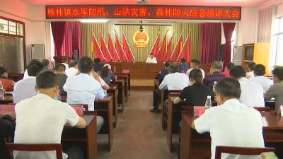 视频︱株林镇组织应急演练   提高应对突发性灾害能力