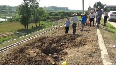 视频︱蕲春县打响水库大坝白蚁防治歼灭战