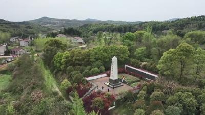 视频︱张体学率部三打彭思桥