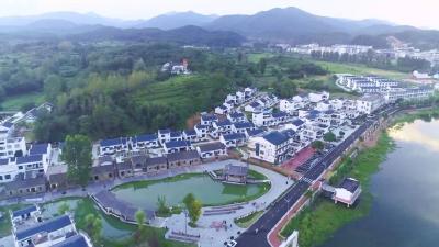今天，红安在央视亮相达9分钟，您关注了吗？