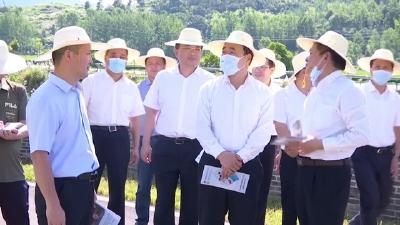 视频︱副省长赵海山来蕲春调研