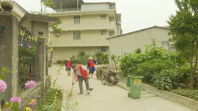 视频︱漕河镇豁口社区：凝心聚力营造洁美环境