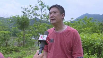 视频︱詹方林：回乡耕耘十余载    乡村振兴有作为