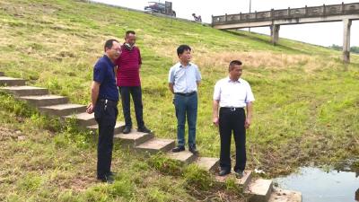 视频︱詹才红检查指导防汛排涝及河湖库长制工作