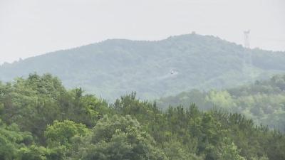 视频︱蕲春开展飞防作业防治松材线虫病