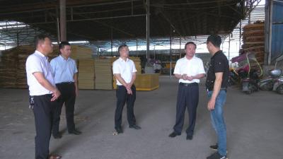 视频︱县领导到大同镇检查安全生产工作