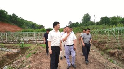 视频︱肖红军到横车镇调研指导水库防汛备汛和乡村振兴工作