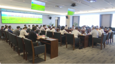 视频︱人行武汉分行来蕲调研金融支持蕲艾产业链发展情况