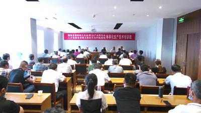 视频︱国家现代农业（蕲艾）产业园专业人才技能培训开班