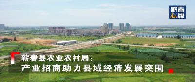 短视频丨县农业农村局：产业招商助力县域经济发展突围  
