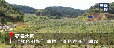短视频丨蕲春大同：“红色引擎”助推“绿色产业”崛起