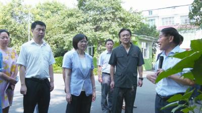 视频︱在鄂全国和省人大代表来蕲视察基层人民法庭工作
