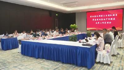 视频︱农业农村部检查农村集体产权制度改革工作
