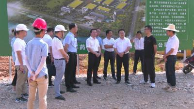 视频︱胡安元到李时珍中医药大健康科技产业园调研