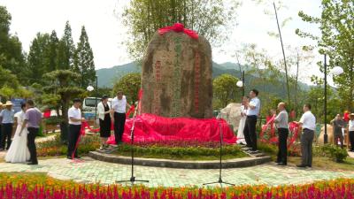 视频︱绿唐线荣获2020年全国 “十大最美农村路”