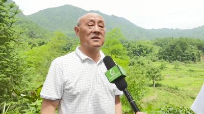 视频︱王保佳：誓让郑山变金山