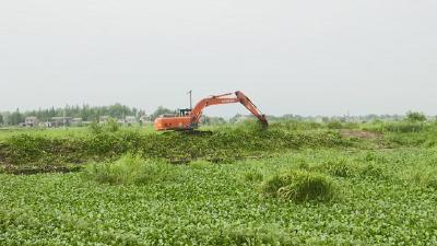 视频︱赤东镇：未雨绸缪保安澜   筑牢防汛生命线